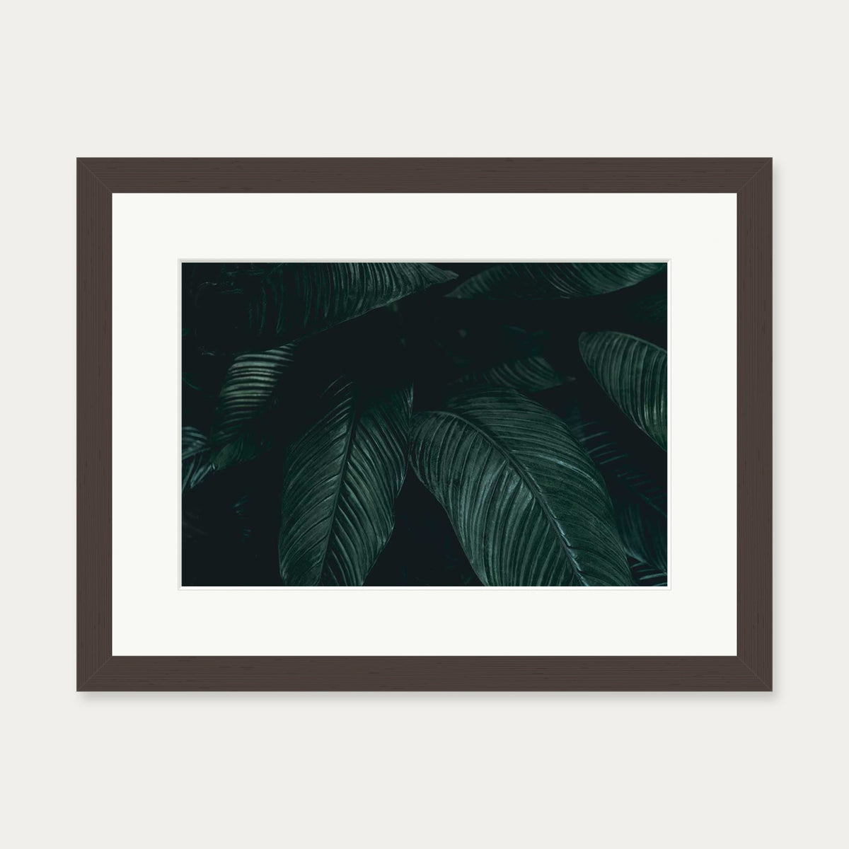 Tropical Leaf II Wall Art Print — 30 x 40 cm — Brown Frame
