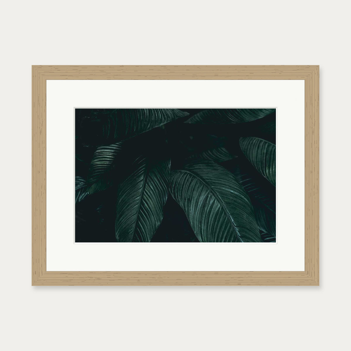 Tropical Leaf II Wall Art Print — 30 x 40 cm — Oak Frame
