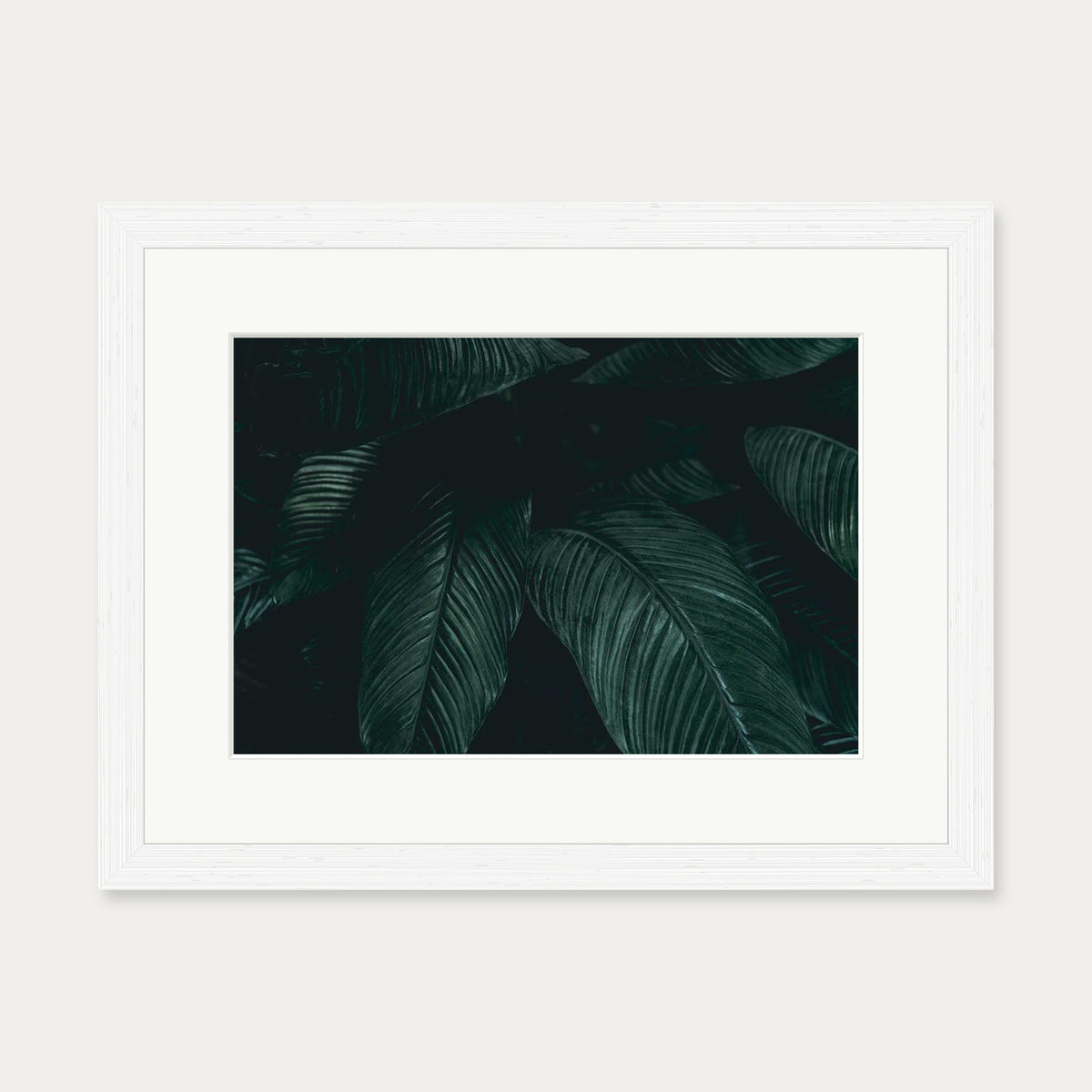 Tropical Leaf II Wall Art Print — 30 x 40 cm — White Frame