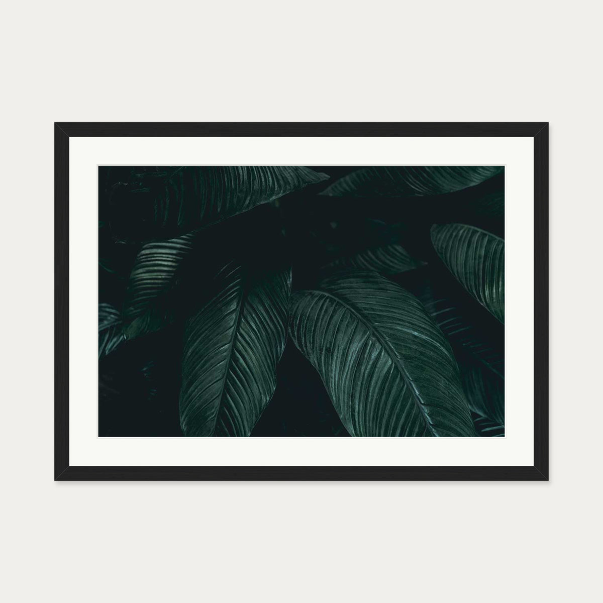 Tropical Leaf II Wall Art Print — 50 x 70 cm — Black Frame