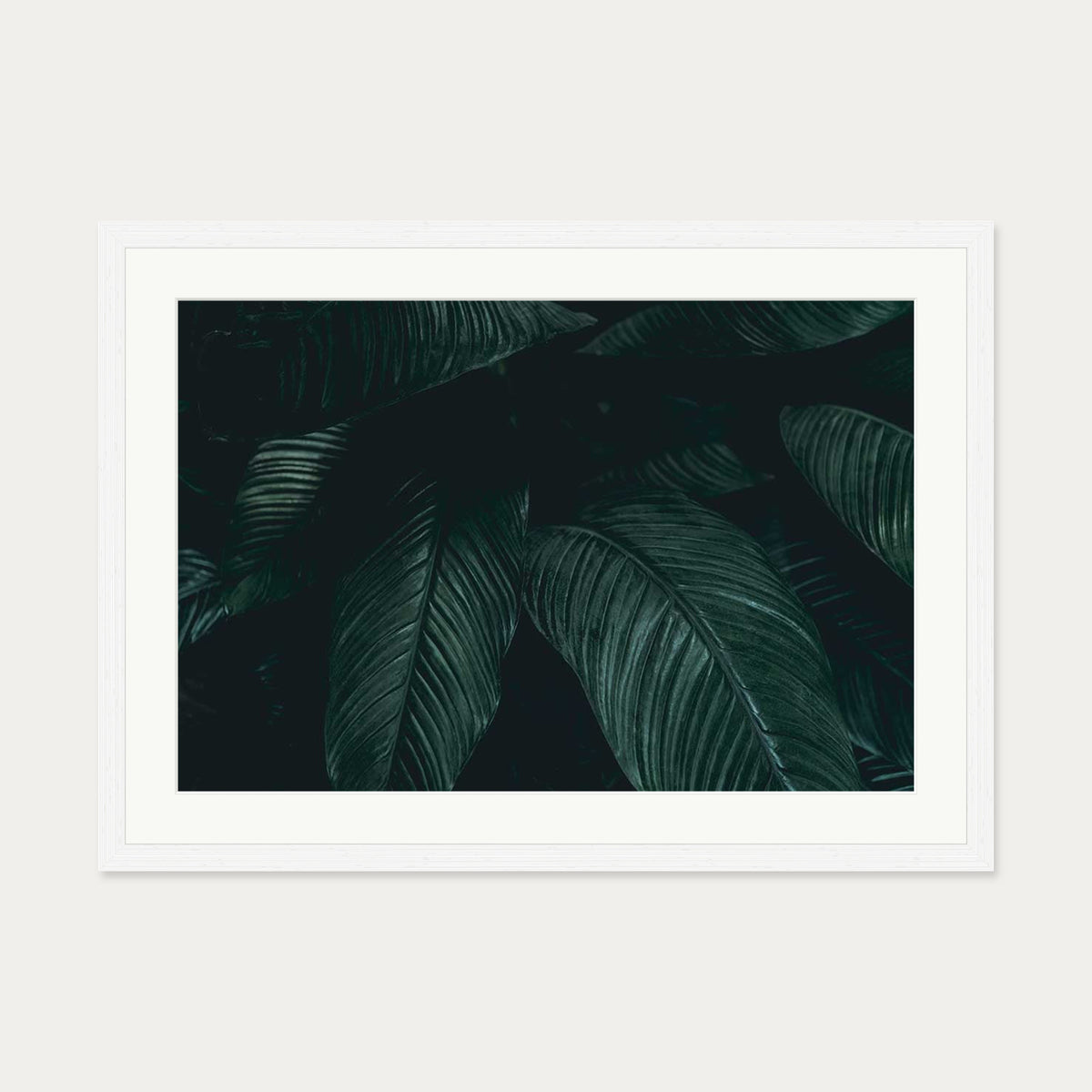 Tropical Leaf II Wall Art Print — 50 x 70 cm — White Frame