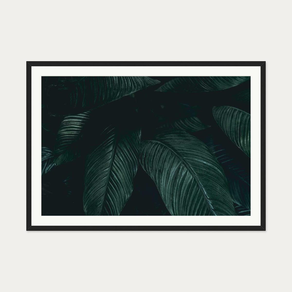 Tropical Leaf II Wall Art Print — 70 x 100 cm — Black Frame