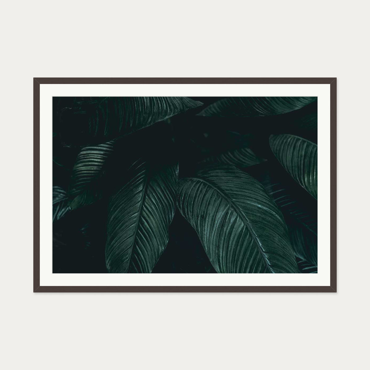 Tropical Leaf II Wall Art Print — 70 x 100 cm — Brown Frame