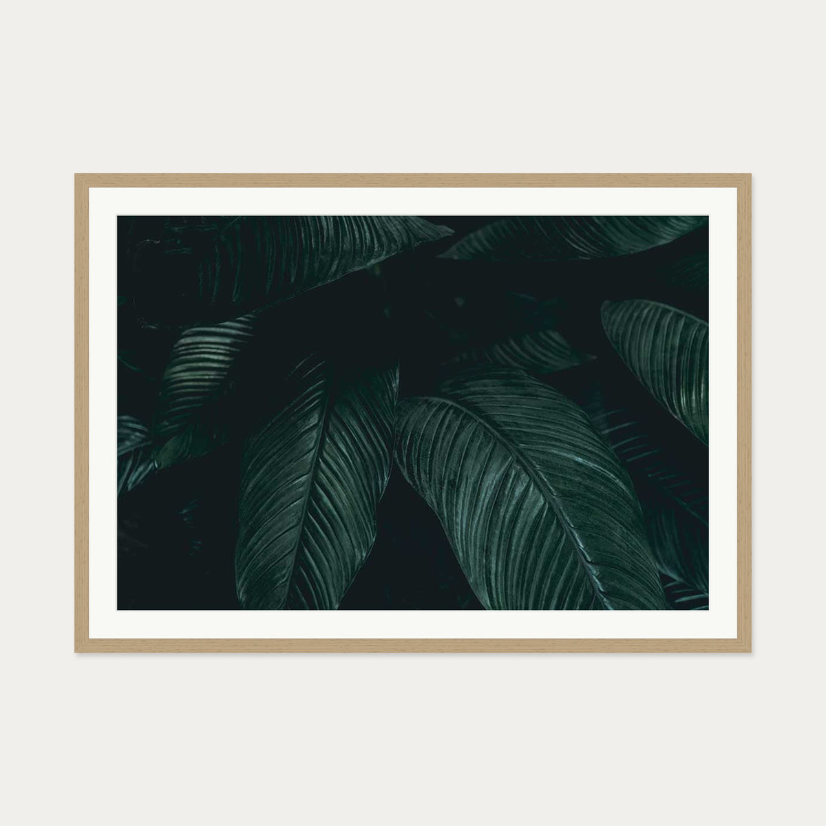 Tropical Leaf II Wall Art Print — 70 x 100 cm — Oak Frame