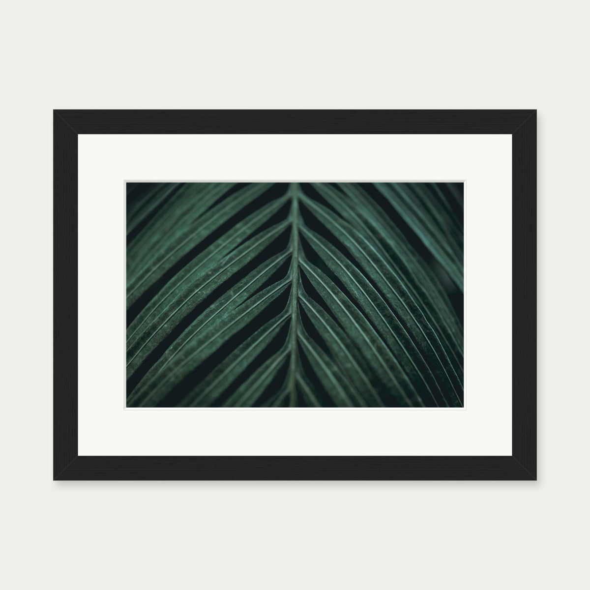 Tropical Leaf Wall Art Print — 30 x 40 cm — Black Frame