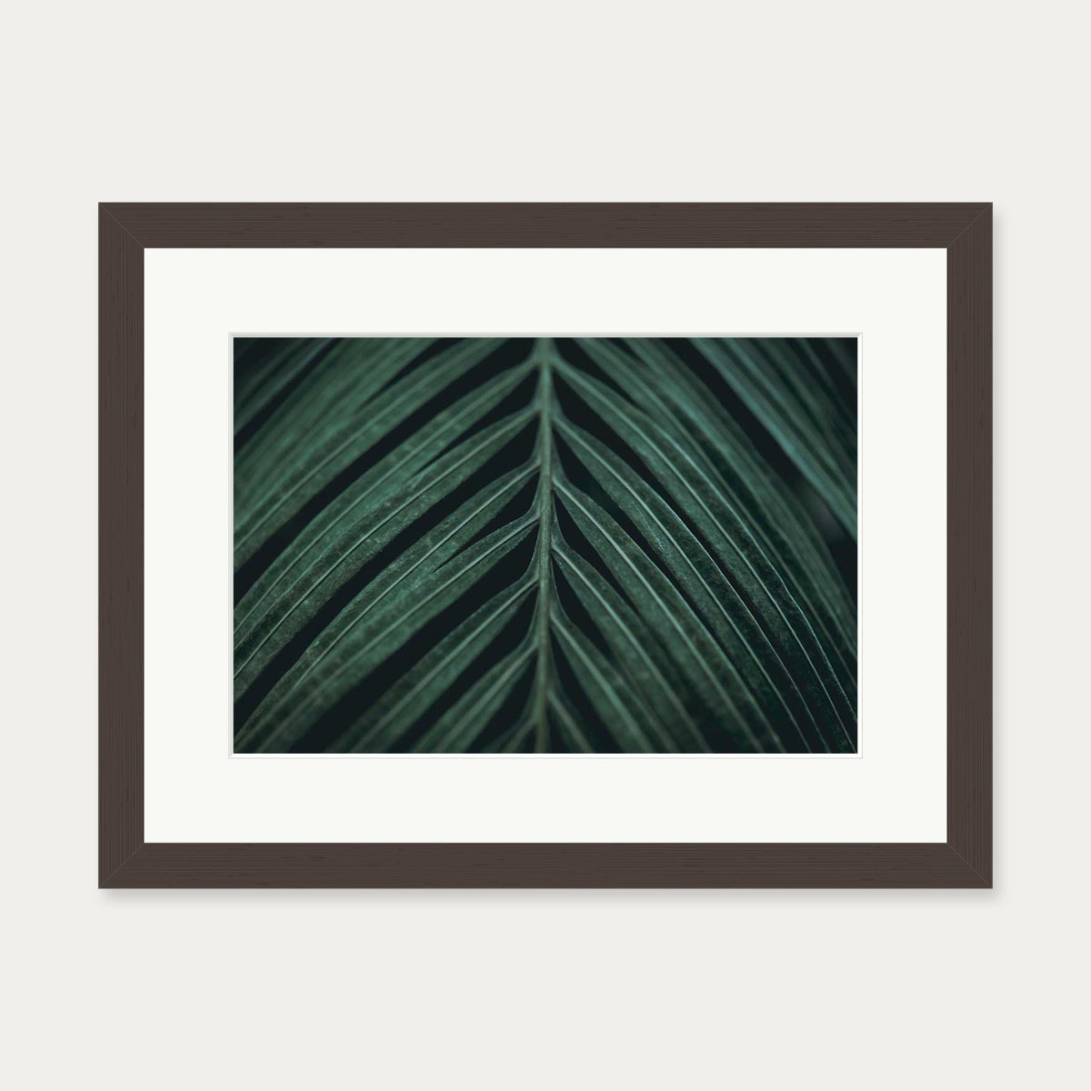Tropical Leaf Wall Art Print — 30 x 40 cm — Brown Frame
