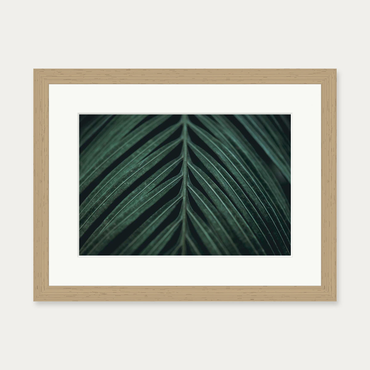 Tropical Leaf Wall Art Print — 30 x 40 cm — Oak Frame