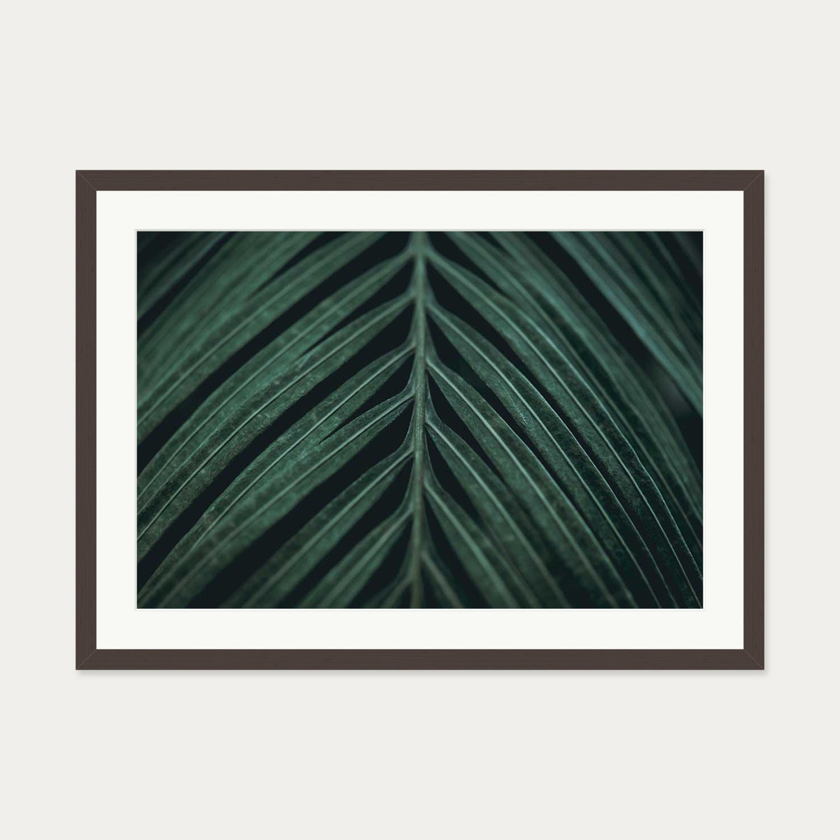 Tropical Leaf Wall Art Print — 50 x 70 cm — Brown Frame