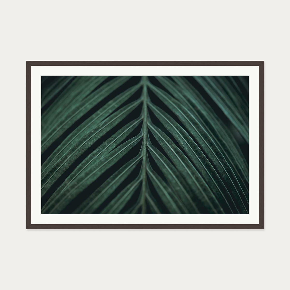 Tropical Leaf Wall Art Print — 70 x 100 cm — Brown Frame