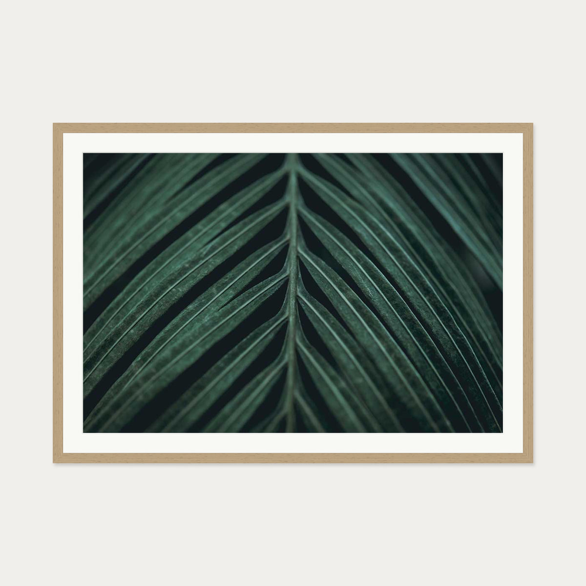 Tropical Leaf Wall Art Print — 70 x 100 cm — Oak Frame