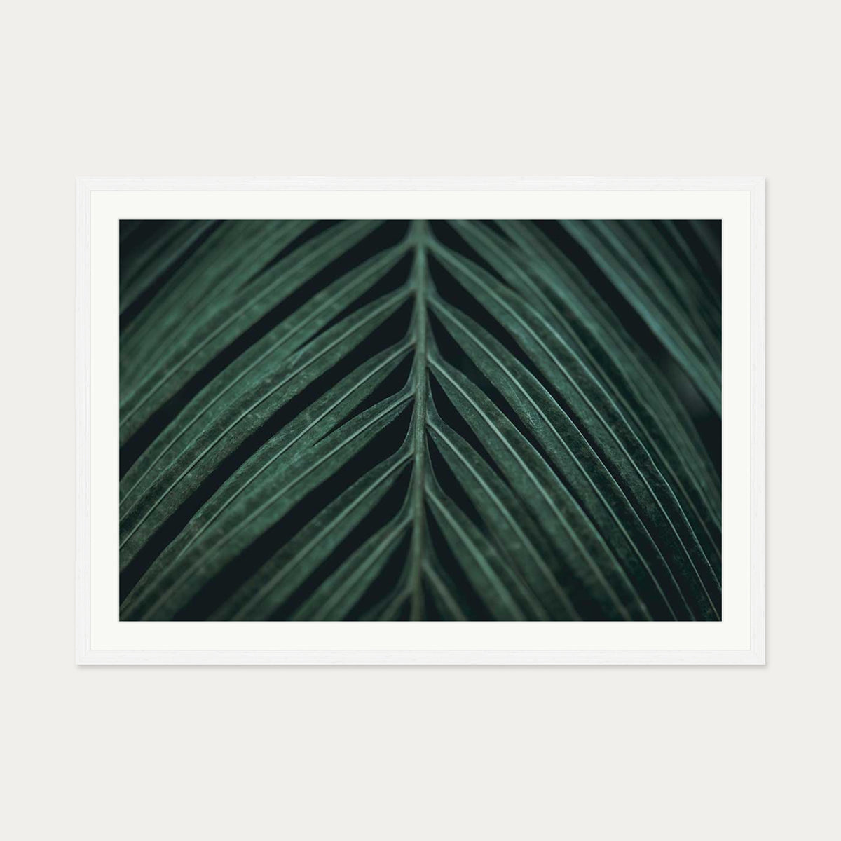 Tropical Leaf Wall Art Print — 70 x 100 cm — White Frame
