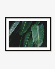 Tropical Forest II Wall Art Print