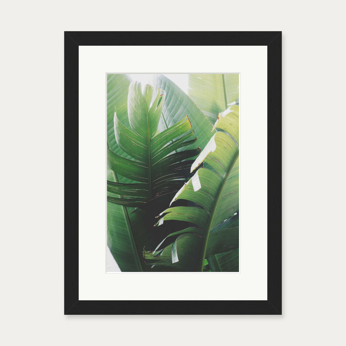 Tropical Leaves Wall Art Print — 30 x 40 cm — Black Frame