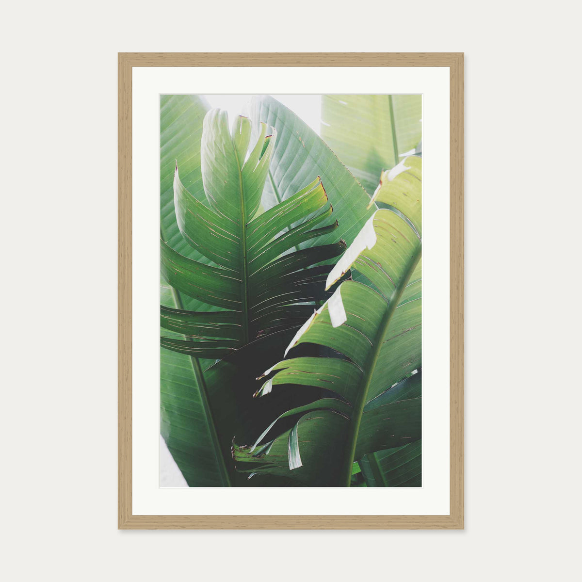 Tropical Leaves Wall Art Print — 50 x 70 cm — Oak Frame