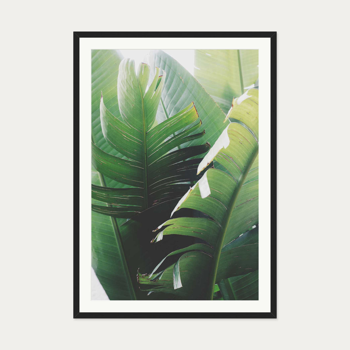 Tropical Leaves Wall Art Print — 70 x 100 cm — Black Frame