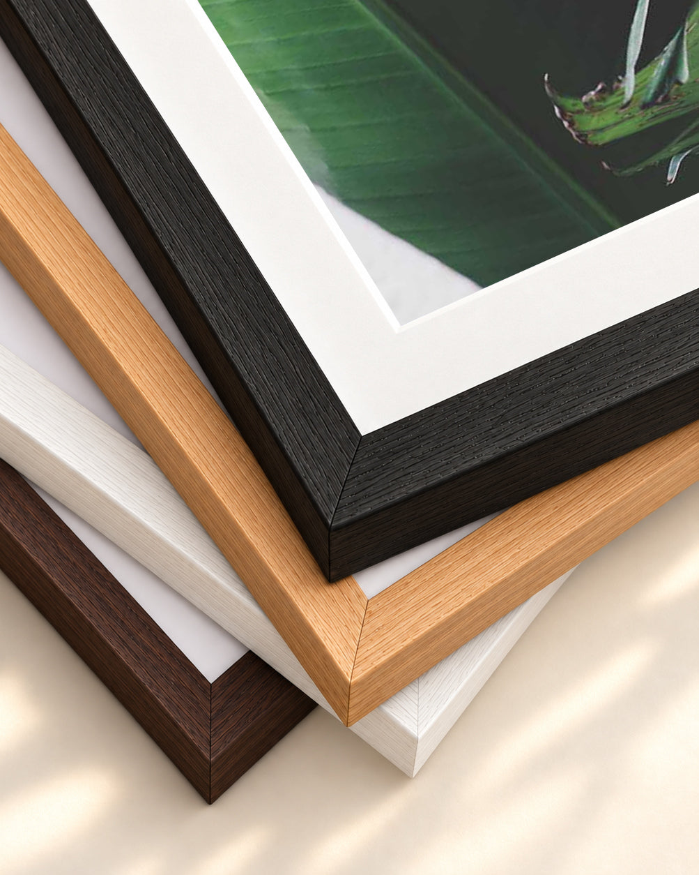 Tropical Leaves Wall Art Print — framed print corner with 5 cm mount and bevel