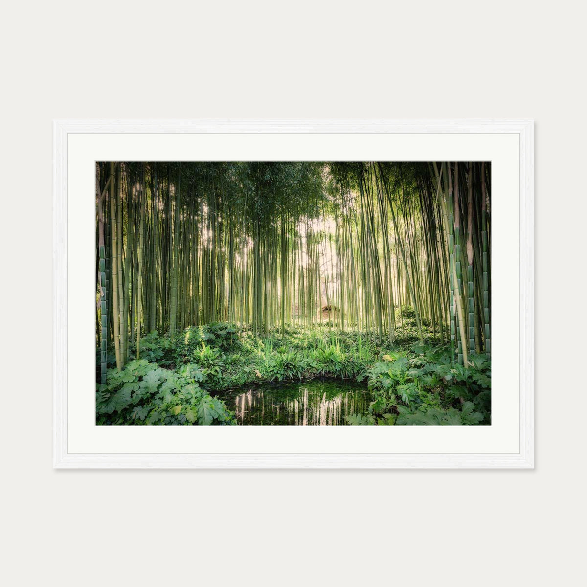 Tropical Oasis Wall Art Print — 50 x 70 cm — White Frame
