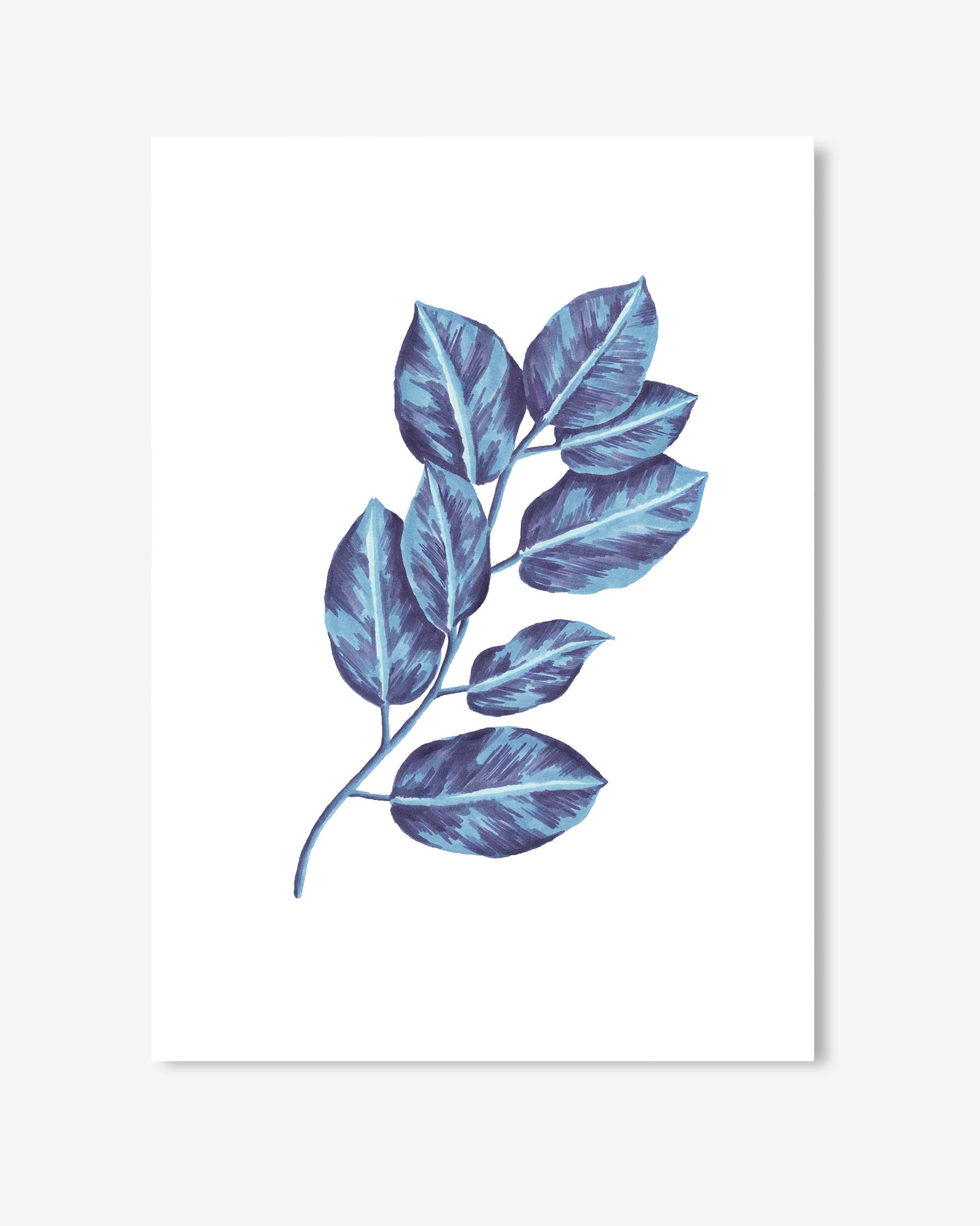Blue leaf illustration on a white background