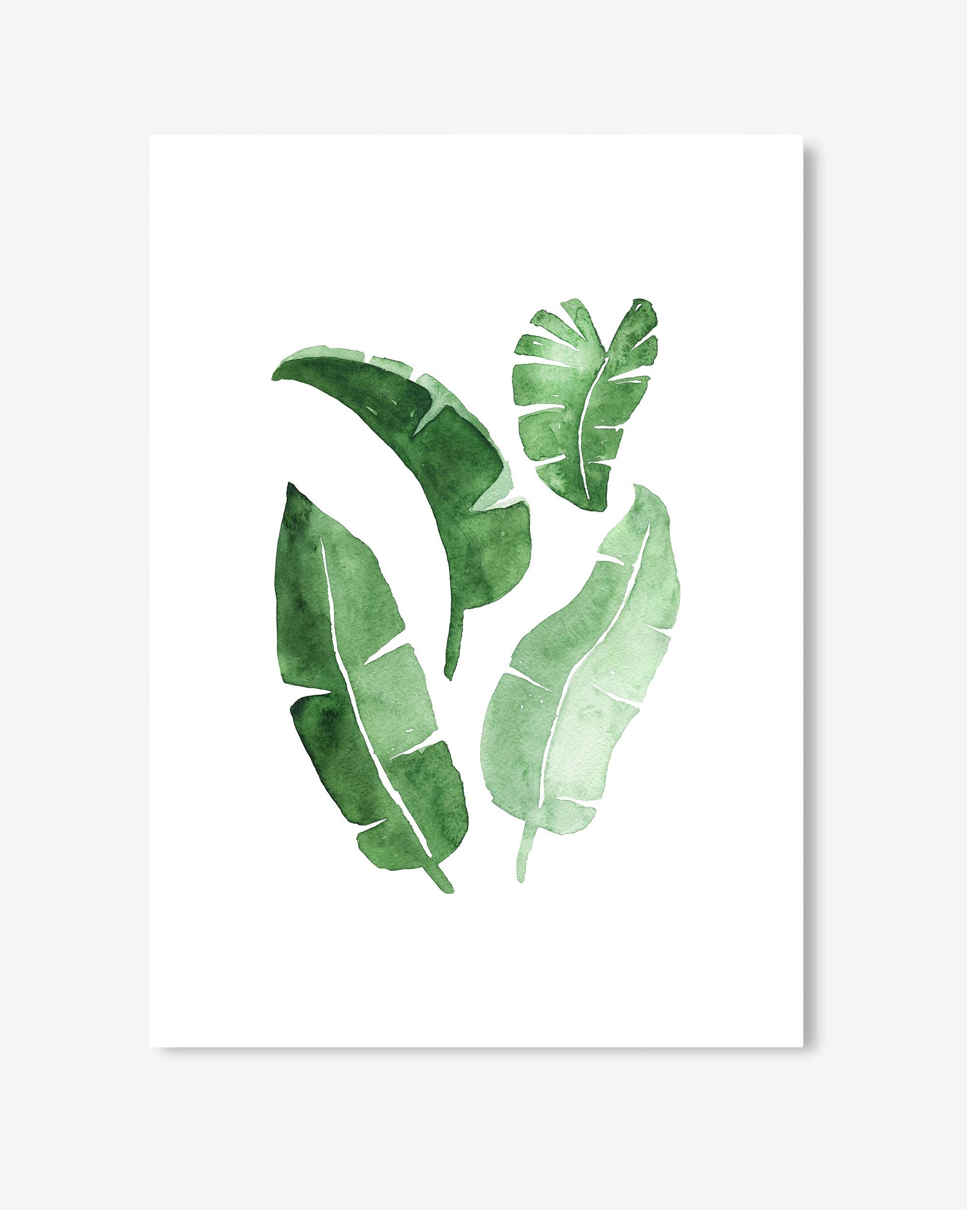 watercolour botanical leaves on paper