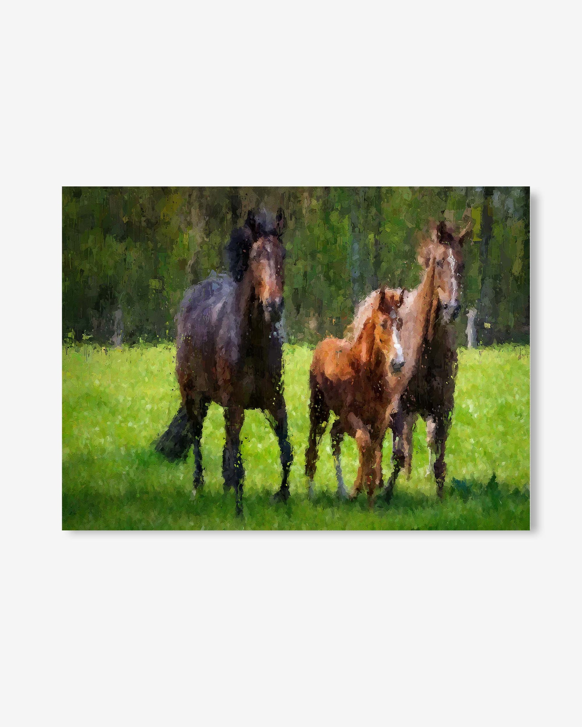 Three horses standing together in a grassy field with trees in the background