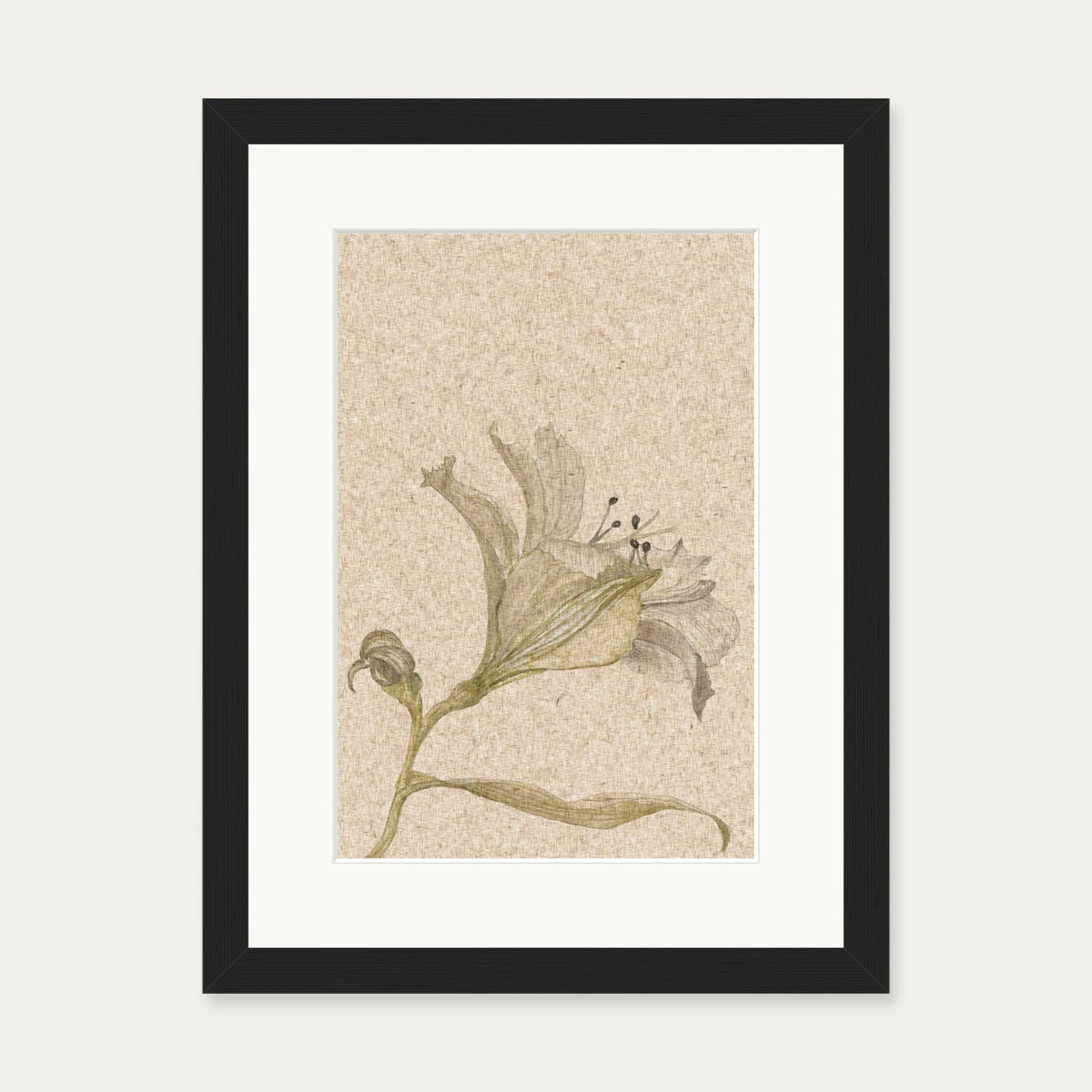 Vintage Floral Stem Art Print — 30 x 40 cm — Black Frame