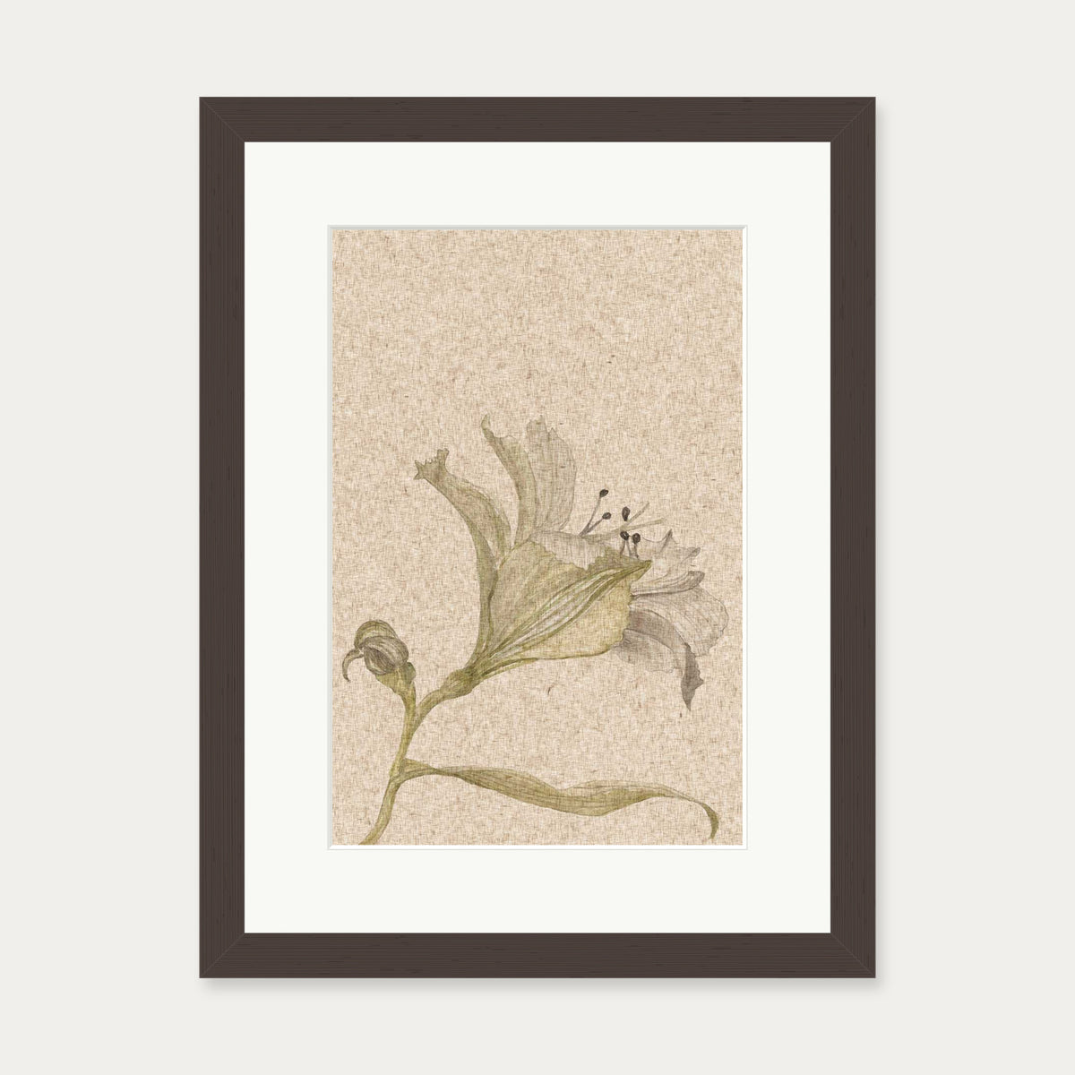Vintage Floral Stem Art Print — 30 x 40 cm — Brown Frame