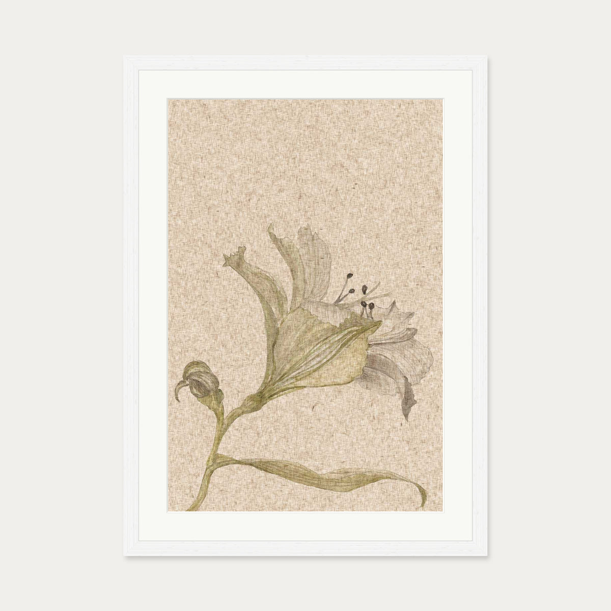 Vintage Floral Stem Art Print — 50 x 70 cm — White Frame