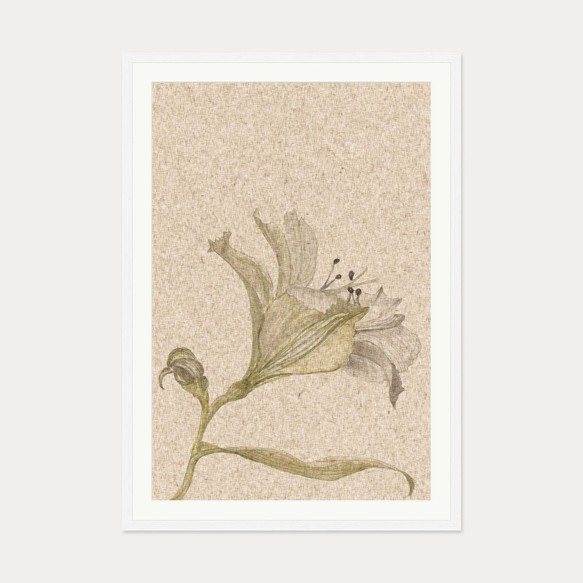 Vintage Floral Stem Art Print — 70 x 100 cm — White Frame