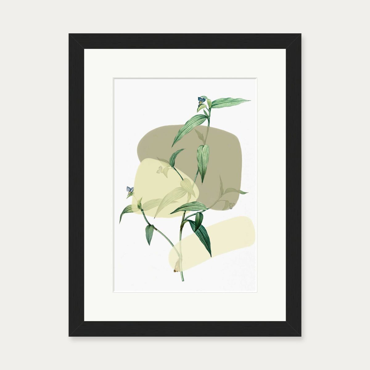Vintage Plant With Shapes 2 Art Print — 30 x 40 cm — Black Frame