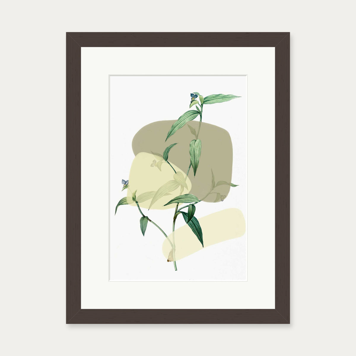 Vintage Plant With Shapes 2 Art Print — 30 x 40 cm — Brown Frame
