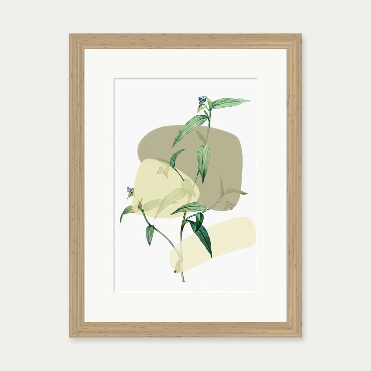 Vintage Plant With Shapes 2 Art Print — 30 x 40 cm — Oak Frame