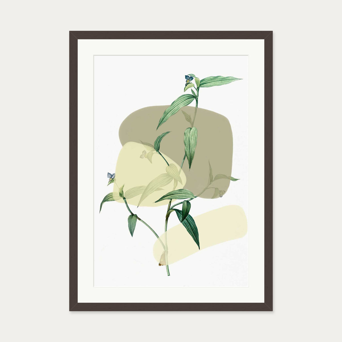 Vintage Plant With Shapes 2 Art Print — 50 x 70 cm — Brown Frame