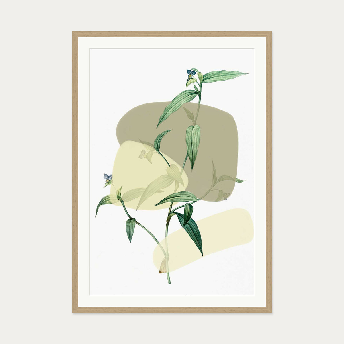 Vintage Plant With Shapes 2 Art Print — 70 x 100 cm — Oak Frame