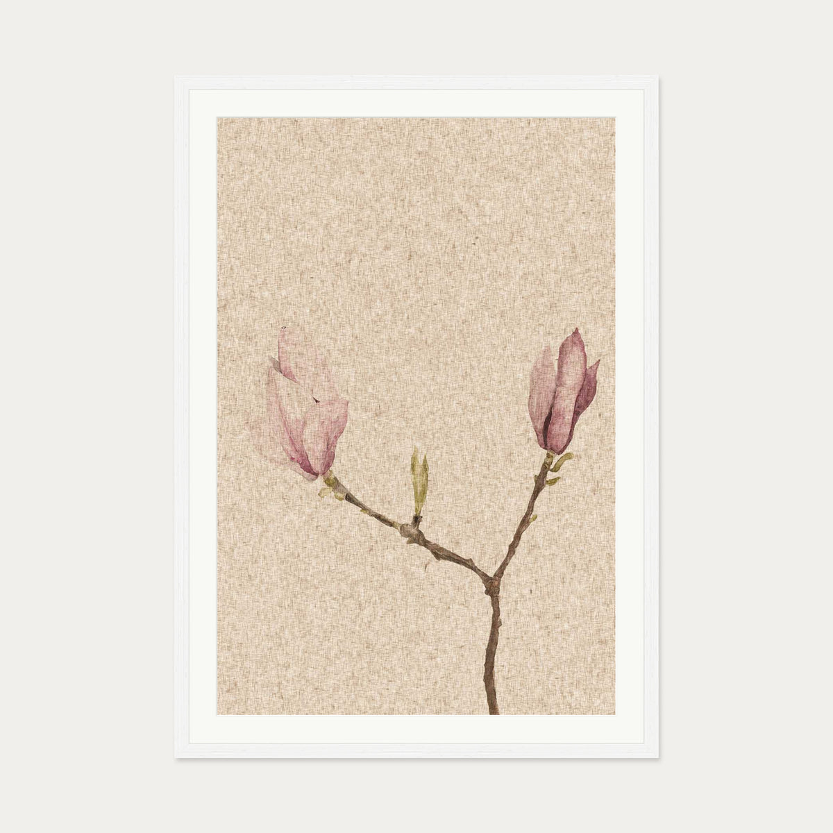 Vintage Rose Art Print — 70 x 100 cm — White Frame