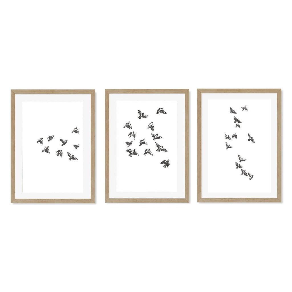 Watercolour Bird Sketches - Set Of 3 Prints