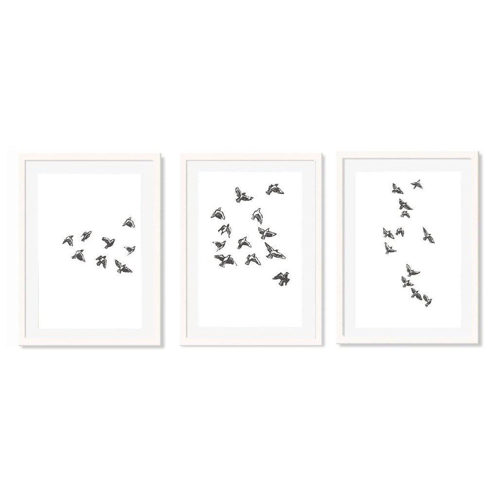 Watercolour Bird Sketches - Set Of 3 Prints