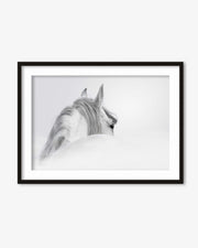 White Horse Art Print