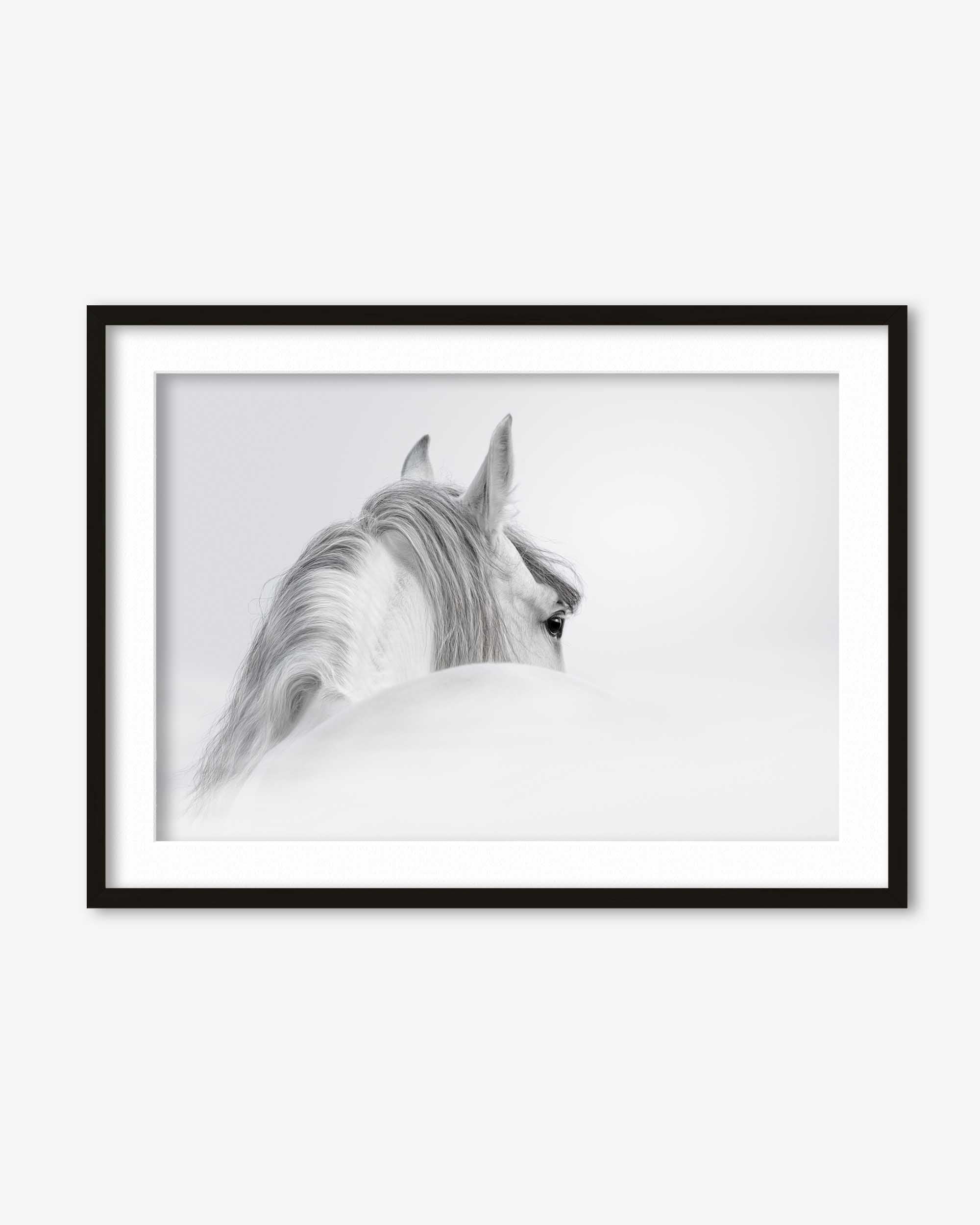 White Horse Art Print