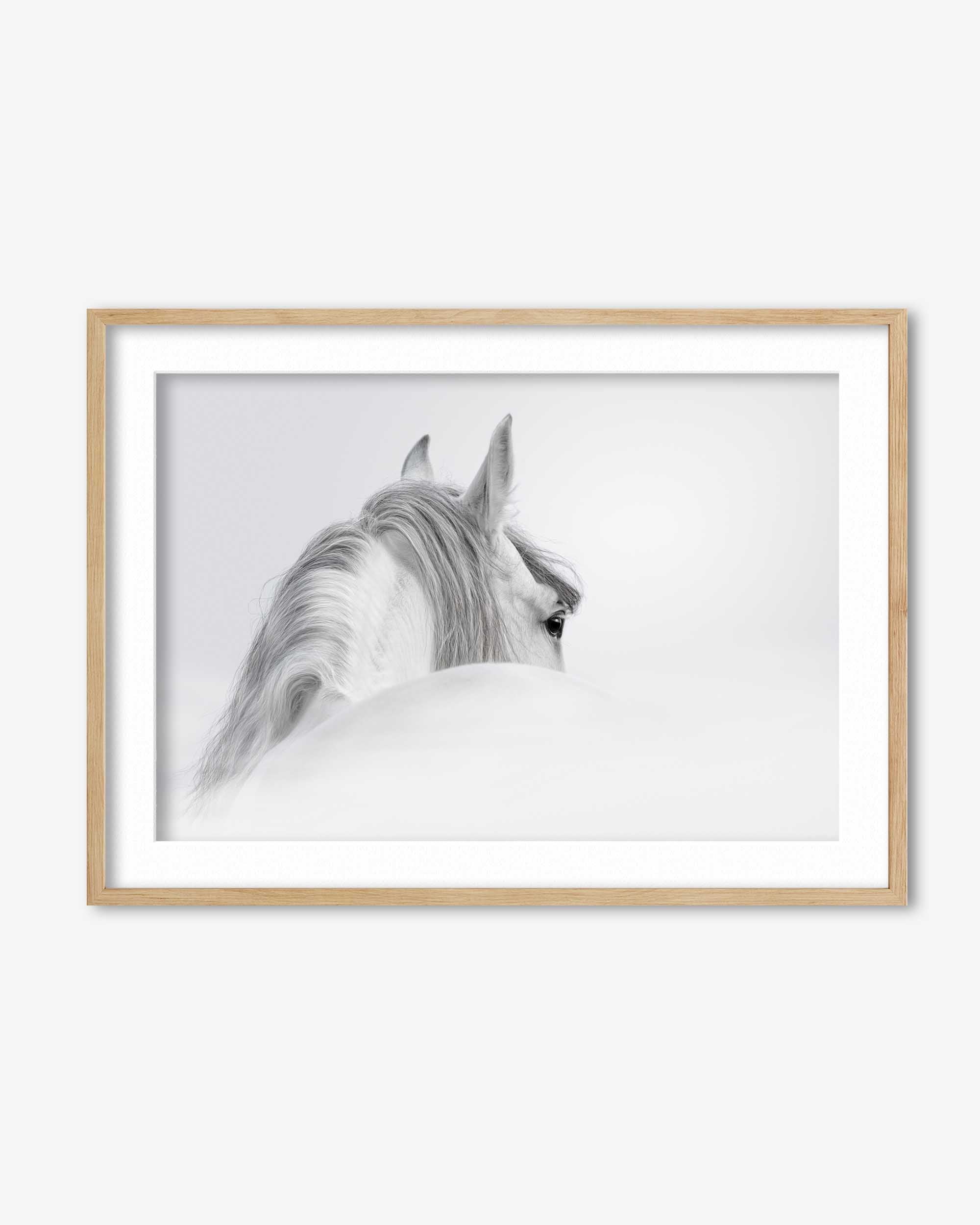 White Horse Art Print