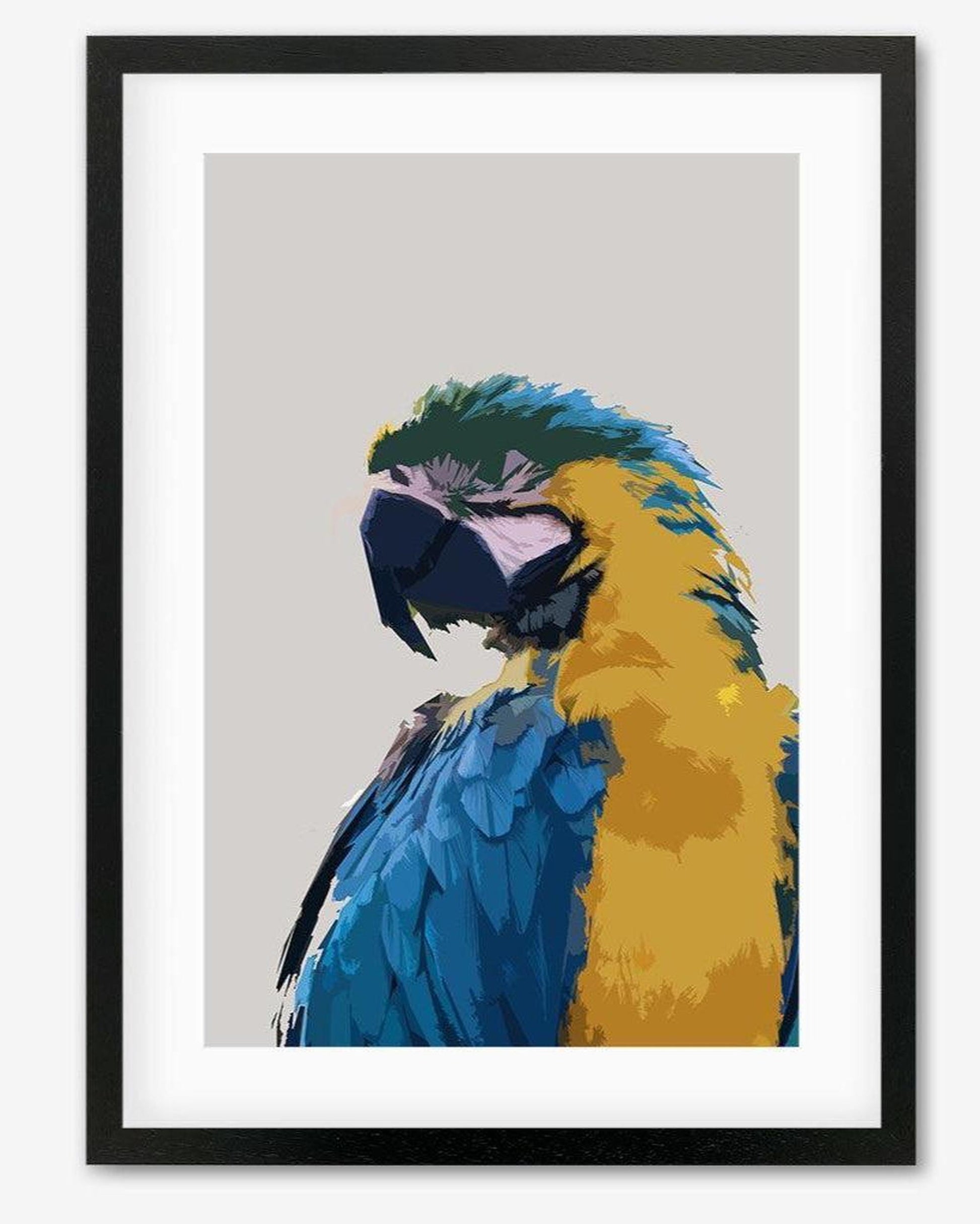 Framed artwork of a colorful parrot on a light gray background
