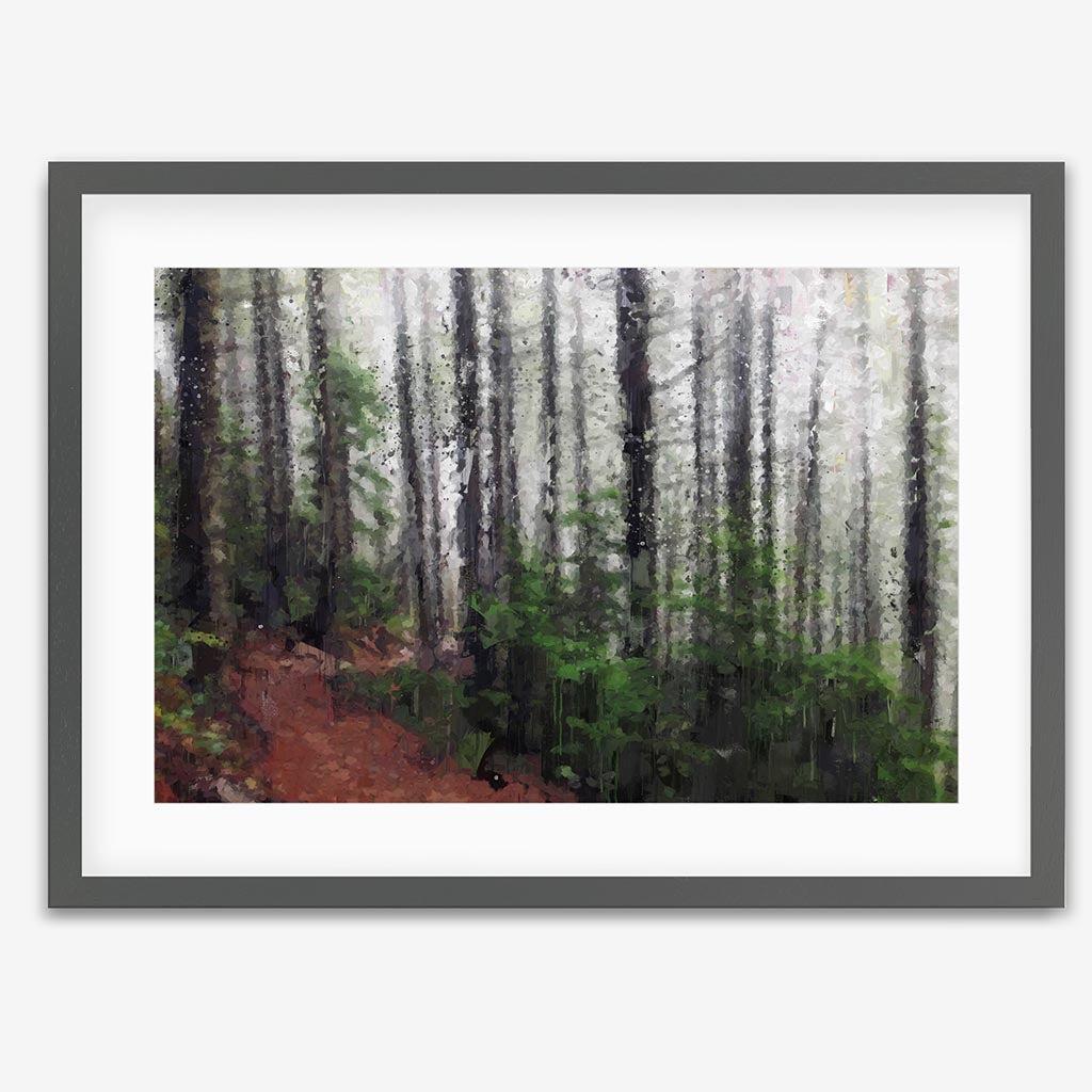 A Path Through The Forest Fine Art Print - Grey Frame - Abstract House