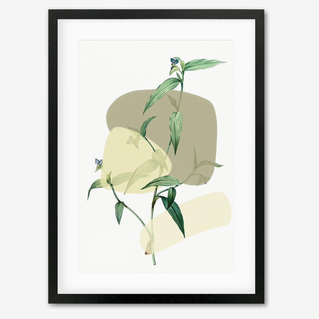 Vintage Plant With Shapes 2 Art Print - Black Frame - Abstract House