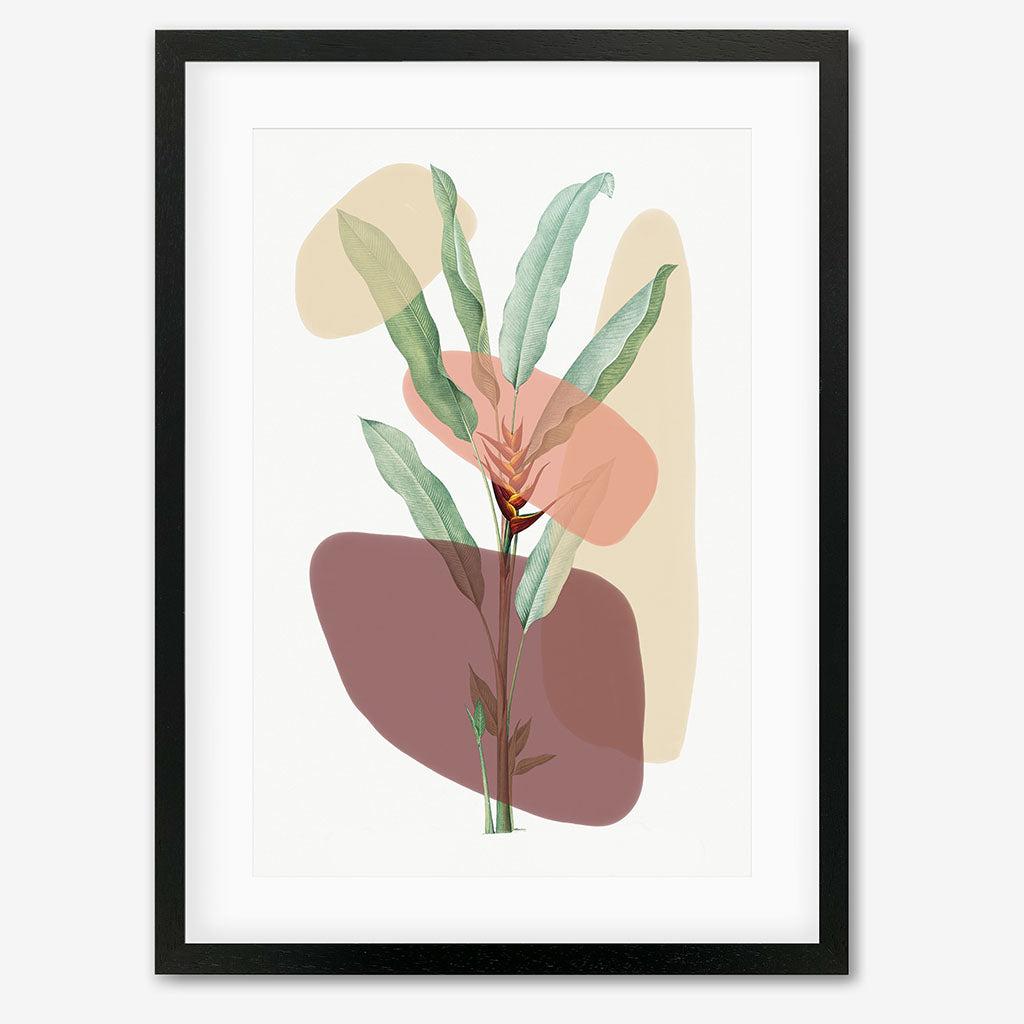 Botanical Illustration With Shapes Art Print - Black Frame - Abstract House