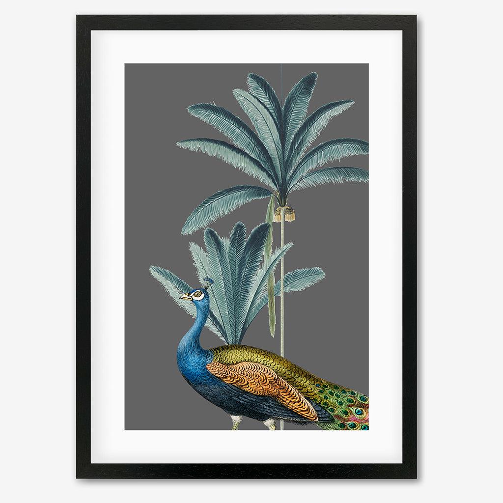 Tropical Jungle Peacock Grey Art Print - Black Frame - Abstract House