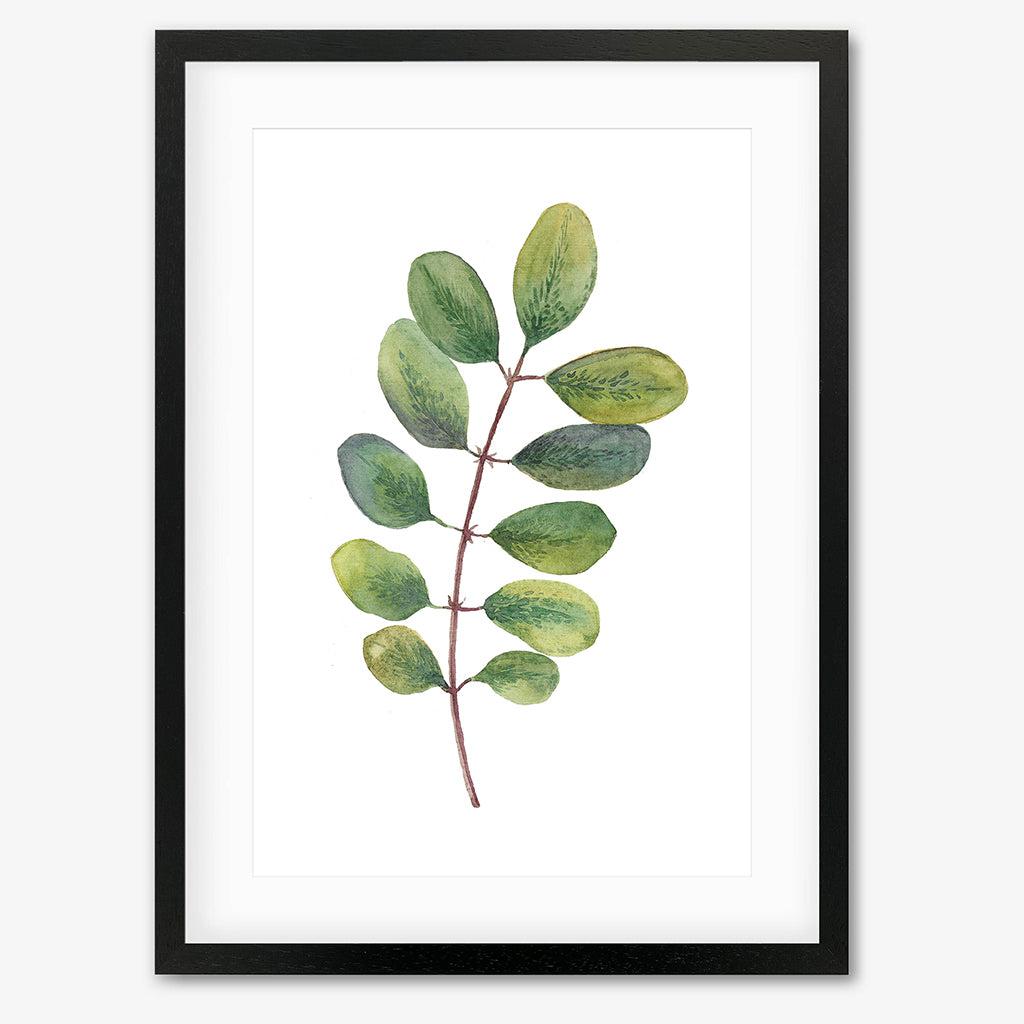 Acacia Watercolour Leaf Art Print - Black Frame - Abstract House