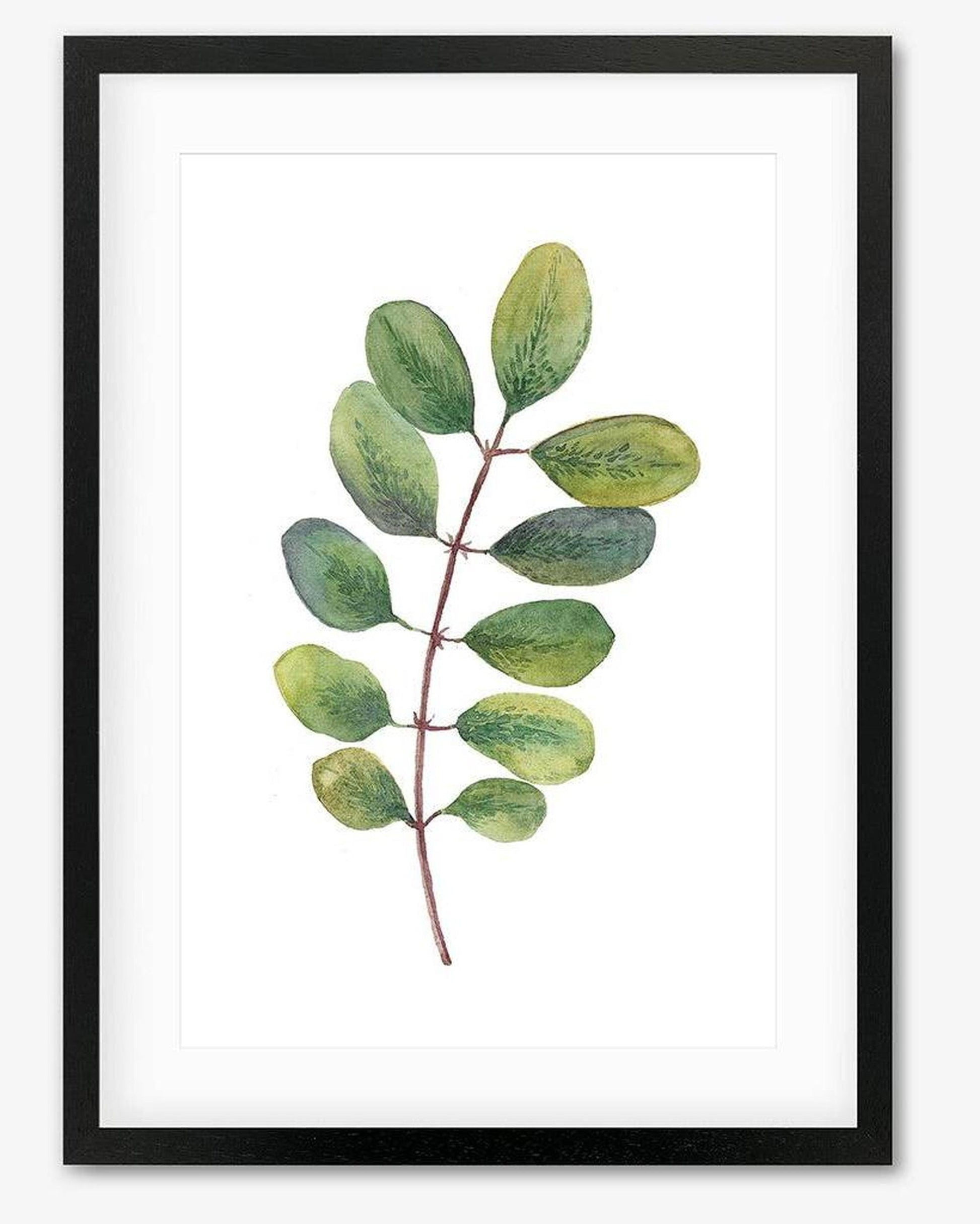 Acacia Watercolour Leaf Framed Art - Black Frame - Abstract House