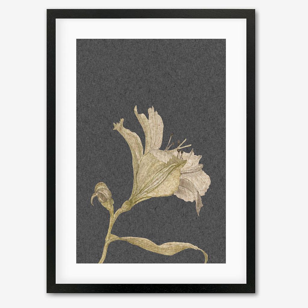 Grey Vintage Floral Stem Art Print - - Abstract House