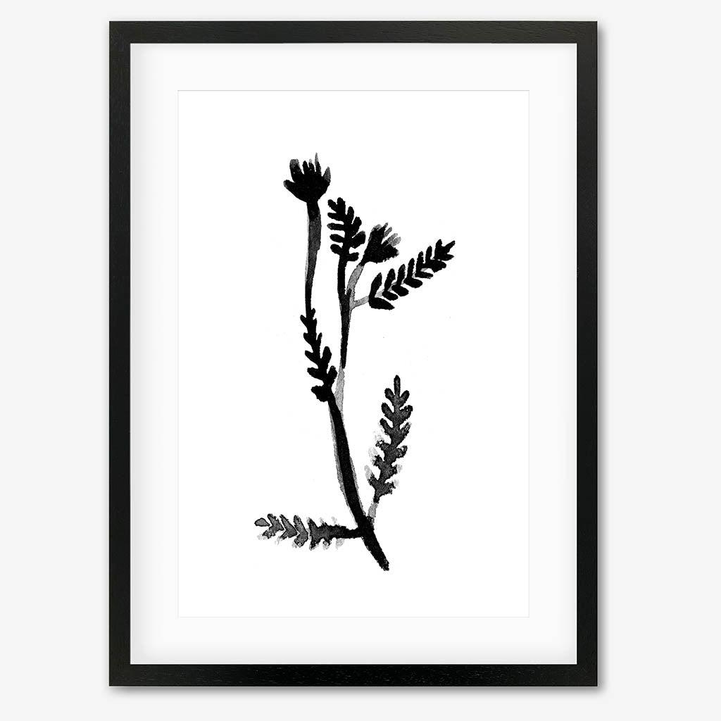 Black & White Botanical Watercolour Art Print