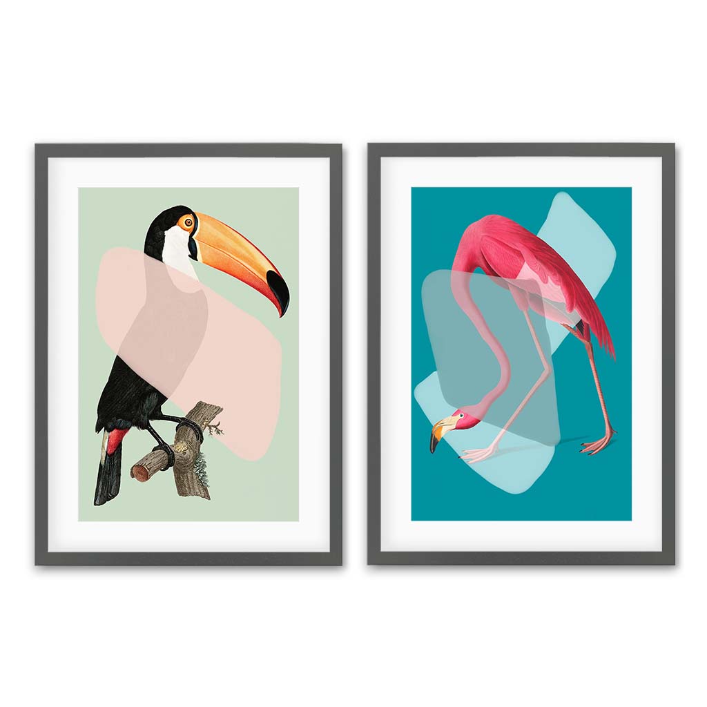 Birds Pop Art - Print Set Of 2 Grey Frame Wall Art Print Set Of 2 - Abstract House