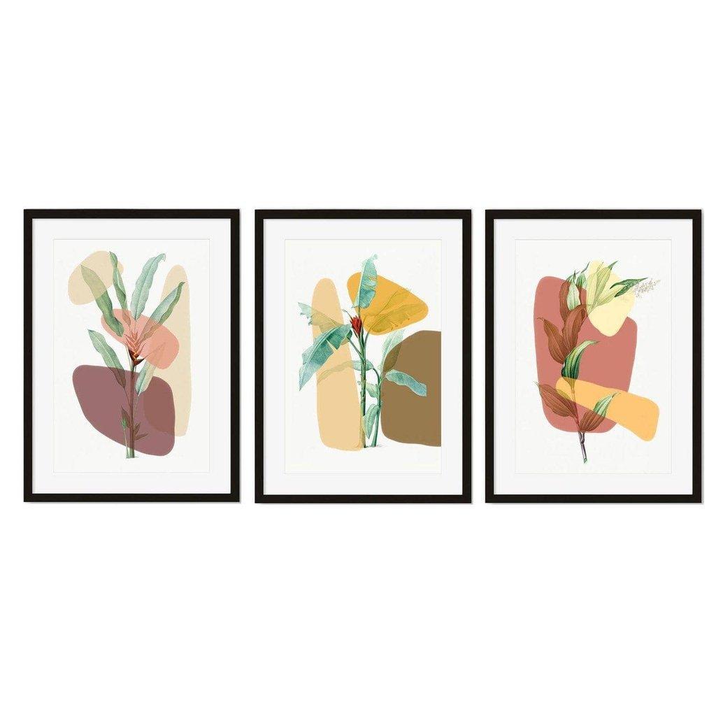 Botanical Abstracts - Set Of 3 Prints